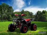 Квадроцикл PROMAX WILD 190 PRO-LINE