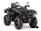 Квадроцикл AODES Pathcross ATV650L EPS XE PRO 2025г.
