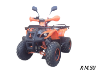 Квадроцикл ATV Termit Libre